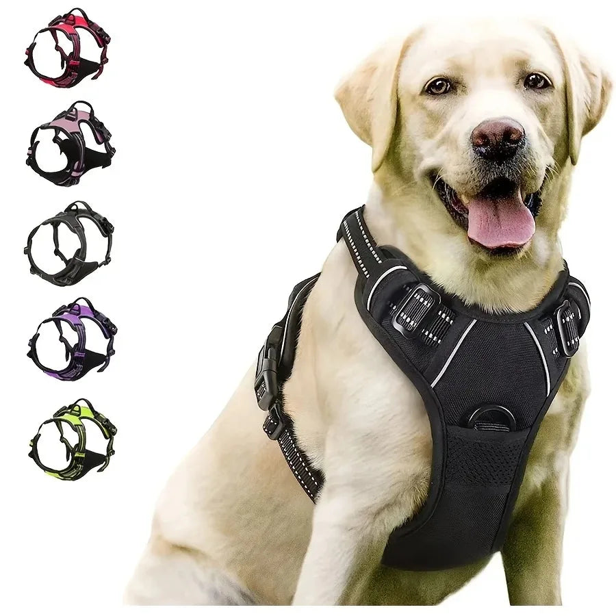 DOG ACCESSORIES
