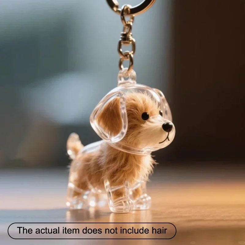 Pendentif de rangement de cheveux de chiens, mignon, pendentif de sac, Couple, porte-clés de voiture, bijoux, Collection Souvenir, cadeau de décoration, accessoires pour chiens