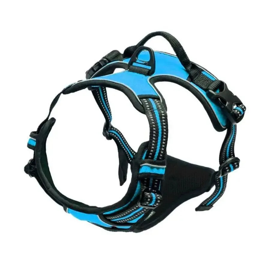 Colliers pour chiens, harnais, grands gilets, laisse, boutique d'animaux, tout pour chiens, accessoires en cuir pour chiots, ensemble moyen et petit