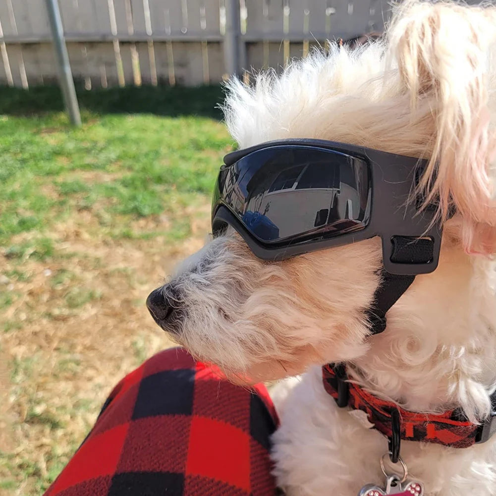 Accessoires pour animaux de compagnie chien Protection UV extérieure lunettes de soleil chat chien lunettes pour petite taille moyenne chiot lunettes sangles réglables