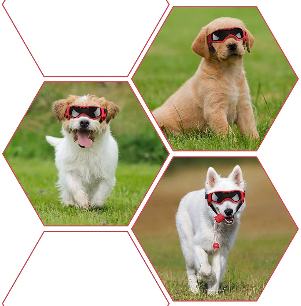 Accessoires pour animaux de compagnie chien Protection UV extérieure lunettes de soleil chat chien lunettes pour petite taille moyenne chiot lunettes sangles réglables