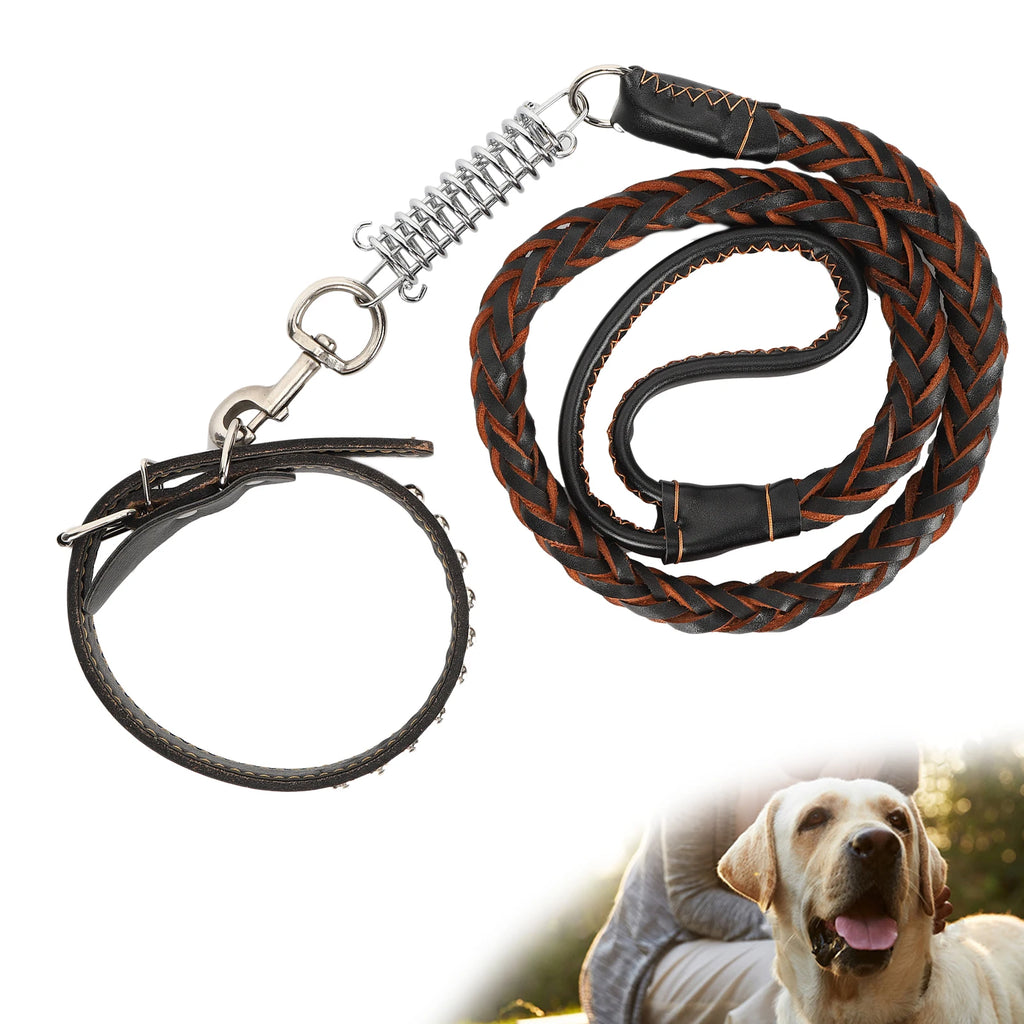 Laisse de promenade pour chien avec collier, en cuir artificiel, anti-perte, ensemble laisse et collier pour animaux de compagnie, accessoires pour chiens de grande et moyenne taille
