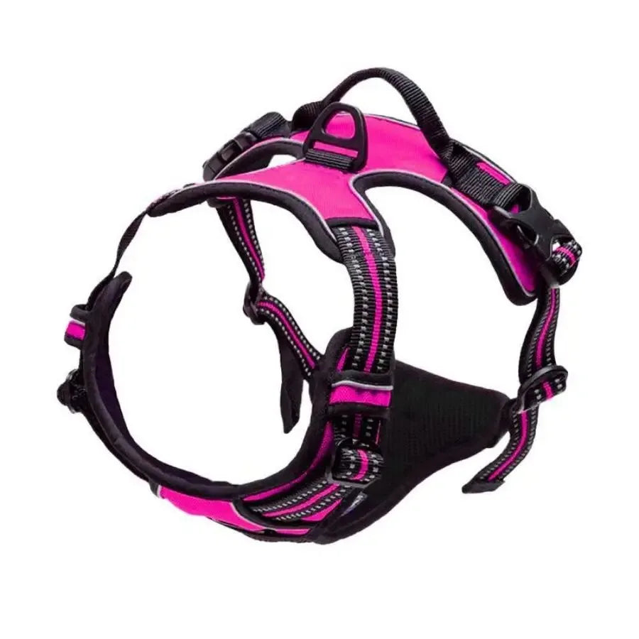 Colliers pour chiens, harnais, grands gilets, laisse, boutique d'animaux, tout pour chiens, accessoires en cuir pour chiots, ensemble moyen et petit