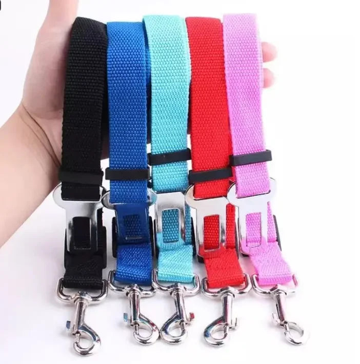 Harnais de sécurité pour chat et chien, laisse réglable, laisse de transport, clip de voyage, collier pour chiot, laisse pour animaux de compagnie, harnais pour chien