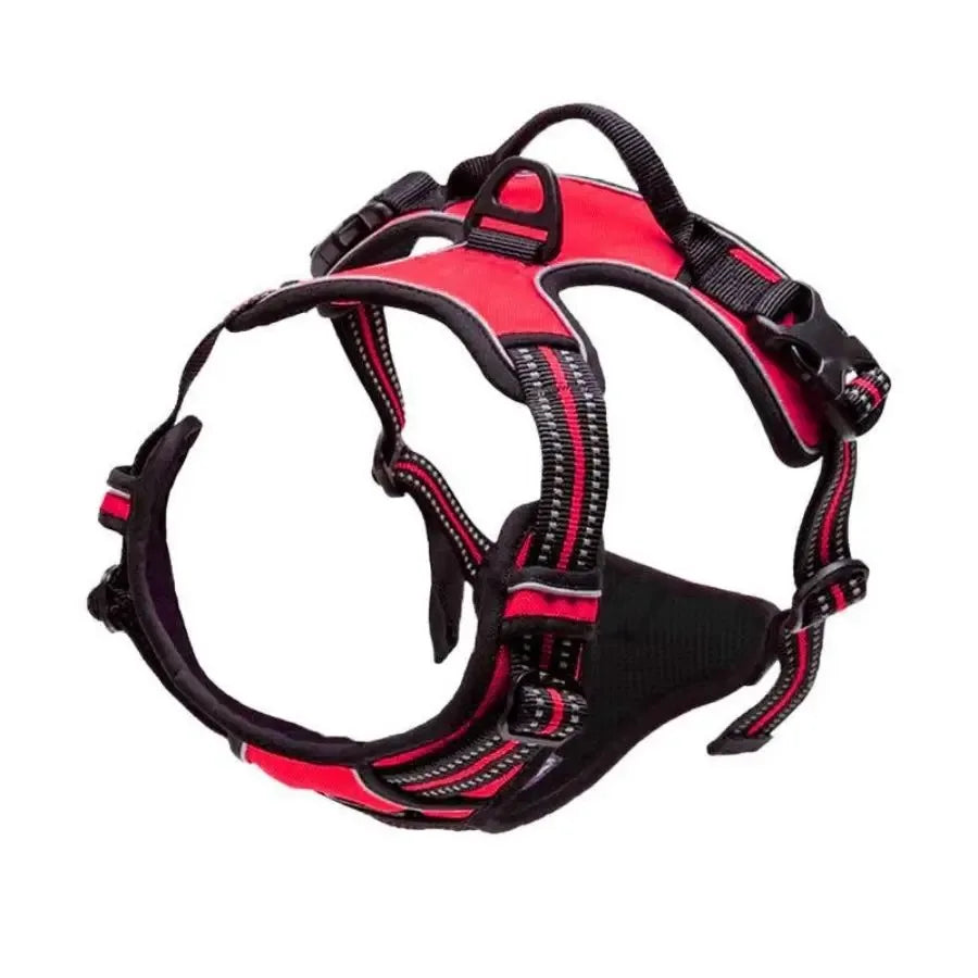 Colliers pour chiens, harnais, grands gilets, laisse, boutique d'animaux, tout pour chiens, accessoires en cuir pour chiots, ensemble moyen et petit