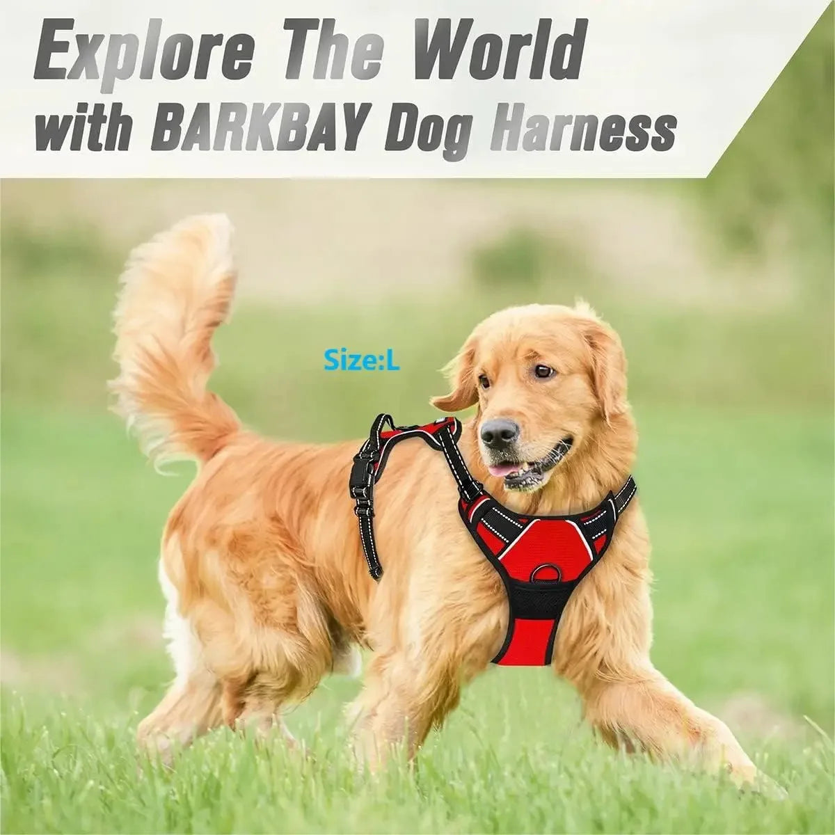 Colliers pour chiens, harnais, grands gilets, laisse, boutique d'animaux, tout pour chiens, accessoires en cuir pour chiots, ensemble moyen et petit