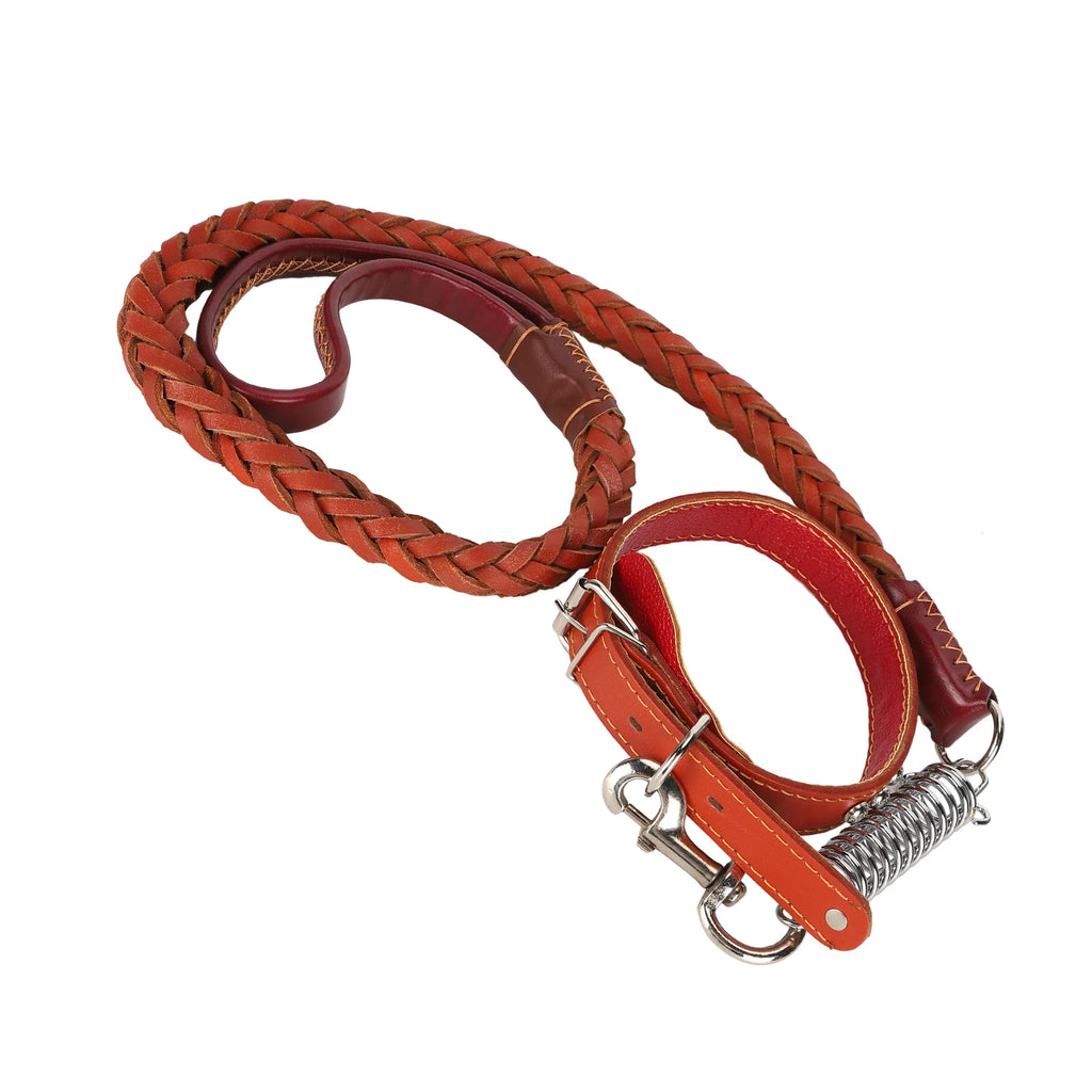 Laisse de promenade pour chien avec collier, en cuir artificiel, anti-perte, ensemble laisse et collier pour animaux de compagnie, accessoires pour chiens de grande et moyenne taille