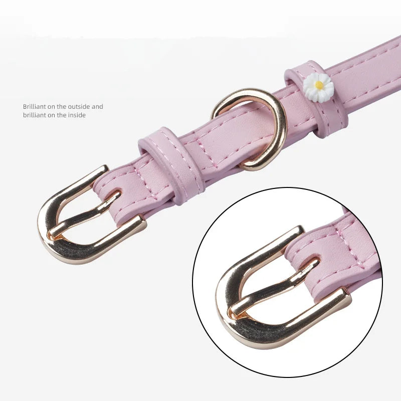 Collier en cuir PU pour animal de compagnie, accessoires mignons pour chien, ULde traction en alliage, boucle de cou pour chat, nounours et schnauzer, détruire et décorer