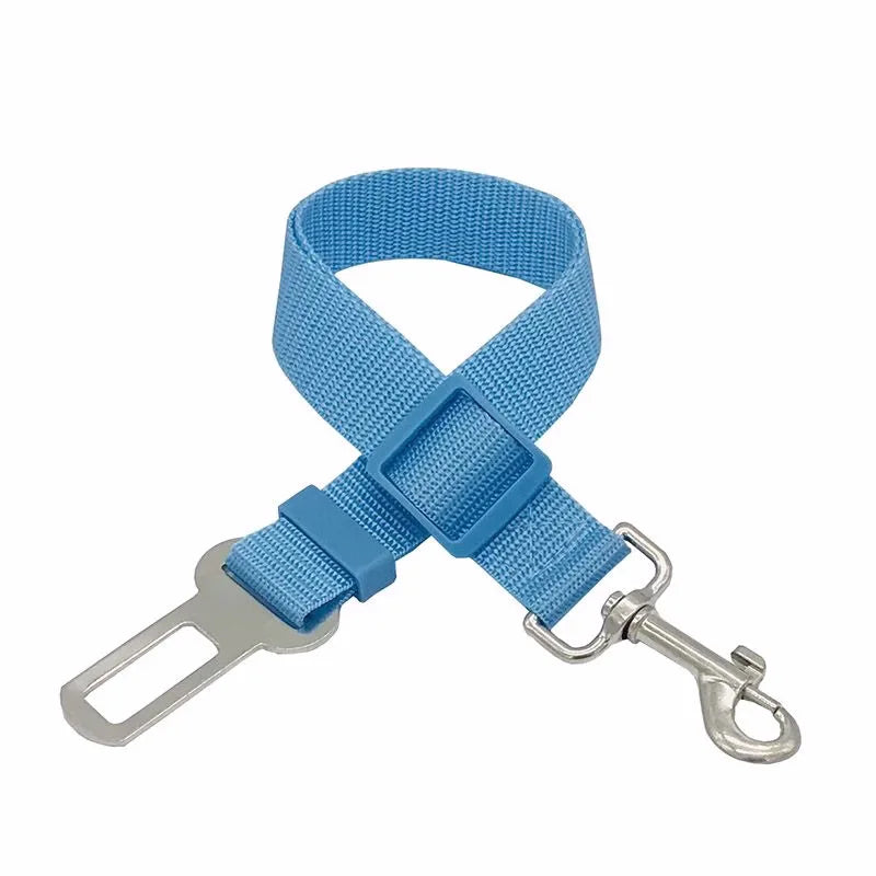 Harnais de sécurité pour chat et chien, laisse réglable, laisse de transport, clip de voyage, collier pour chiot, laisse pour animaux de compagnie, harnais pour chien