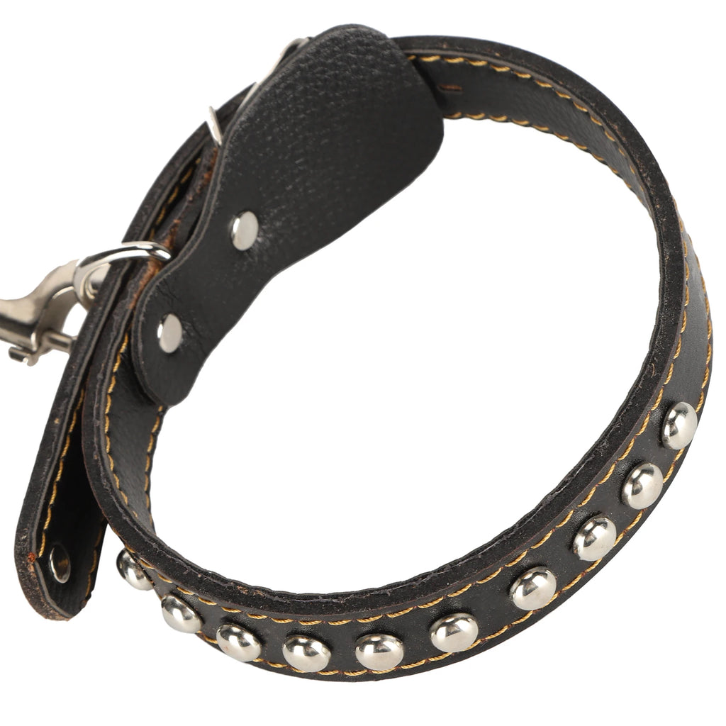 Laisse de promenade pour chien avec collier, en cuir artificiel, anti-perte, ensemble laisse et collier pour animaux de compagnie, accessoires pour chiens de grande et moyenne taille