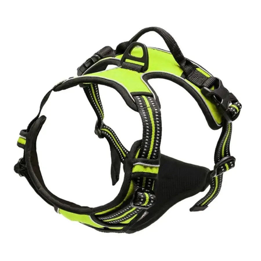 Colliers pour chiens, harnais, grands gilets, laisse, boutique d'animaux, tout pour chiens, accessoires en cuir pour chiots, ensemble moyen et petit