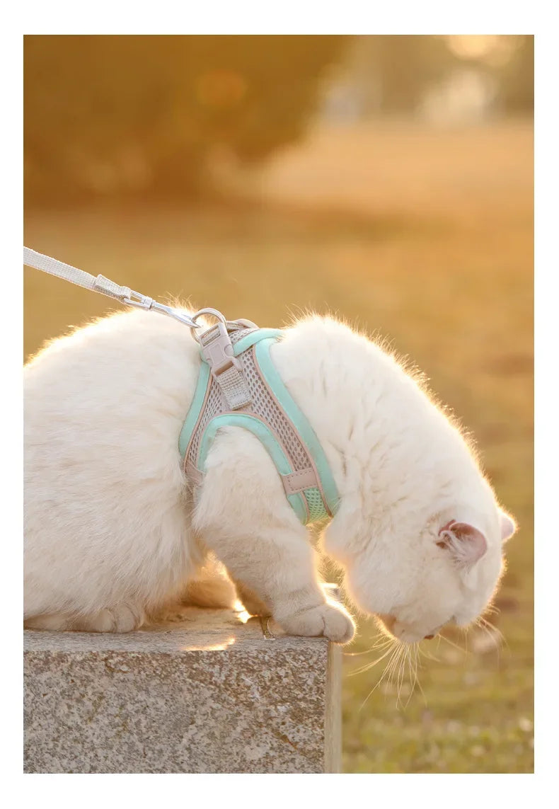 Accessoires pour chiens et chats, collier pour petits chiens, gilet de sécurité, corde de poitrine pour animaux de compagnie, couverture pour chiens, harnais respirant et réglable, fournitures, produits