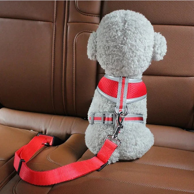 Harnais de sécurité pour chat et chien, laisse réglable, laisse de transport, clip de voyage, collier pour chiot, laisse pour animaux de compagnie, harnais pour chien