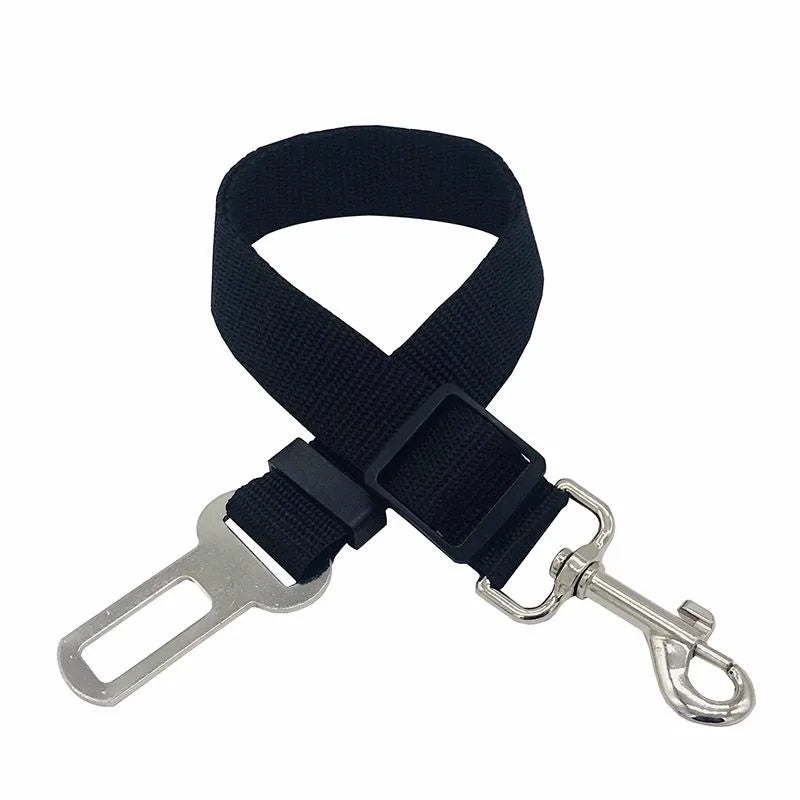 Harnais de sécurité pour chat et chien, laisse réglable, laisse de transport, clip de voyage, collier pour chiot, laisse pour animaux de compagnie, harnais pour chien
