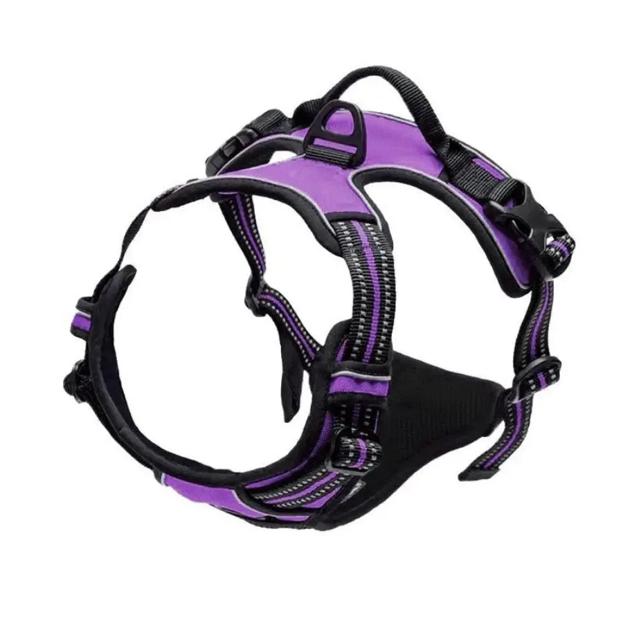 Colliers pour chiens, harnais, grands gilets, laisse, boutique d'animaux, tout pour chiens, accessoires en cuir pour chiots, ensemble moyen et petit