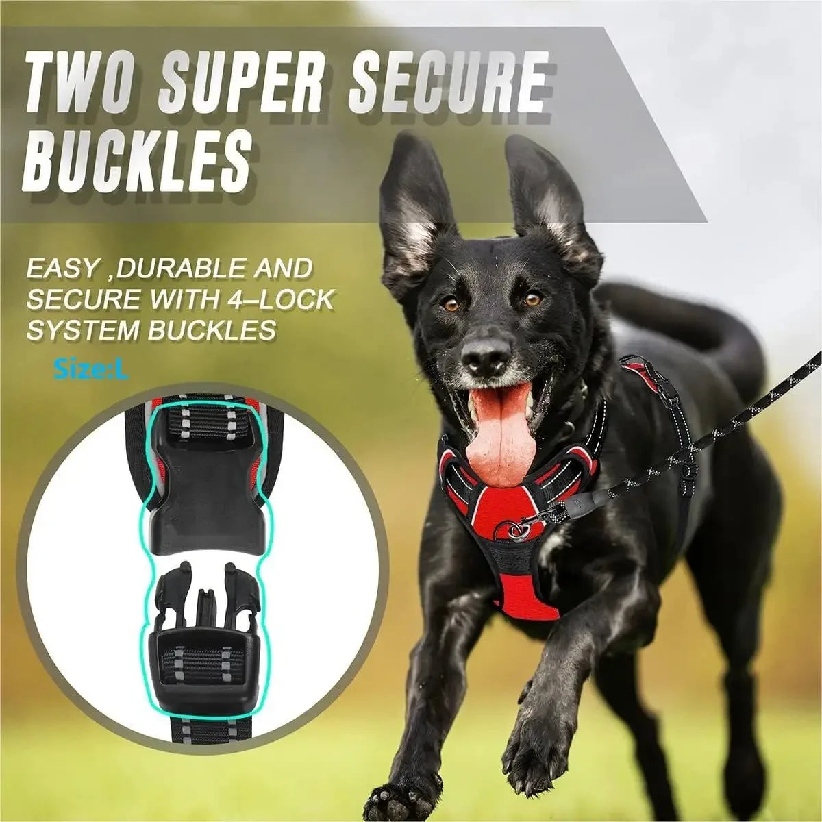Colliers pour chiens, harnais, grands gilets, laisse, boutique d'animaux, tout pour chiens, accessoires en cuir pour chiots, ensemble moyen et petit