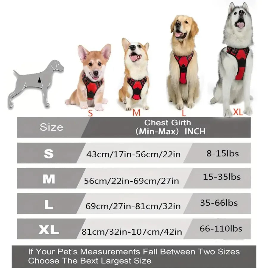 Colliers pour chiens, harnais, grands gilets, laisse, boutique d'animaux, tout pour chiens, accessoires en cuir pour chiots, ensemble moyen et petit