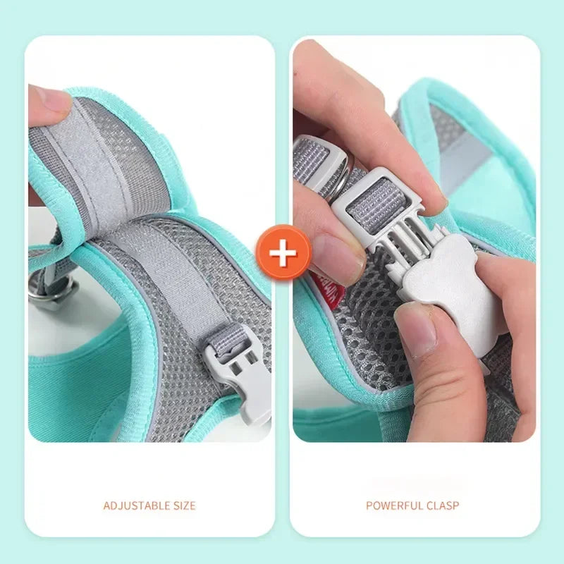 Accessoires pour chiens et chats, collier pour petits chiens, gilet de sécurité, corde de poitrine pour animaux de compagnie, couverture pour chiens, harnais respirant et réglable, fournitures, produits