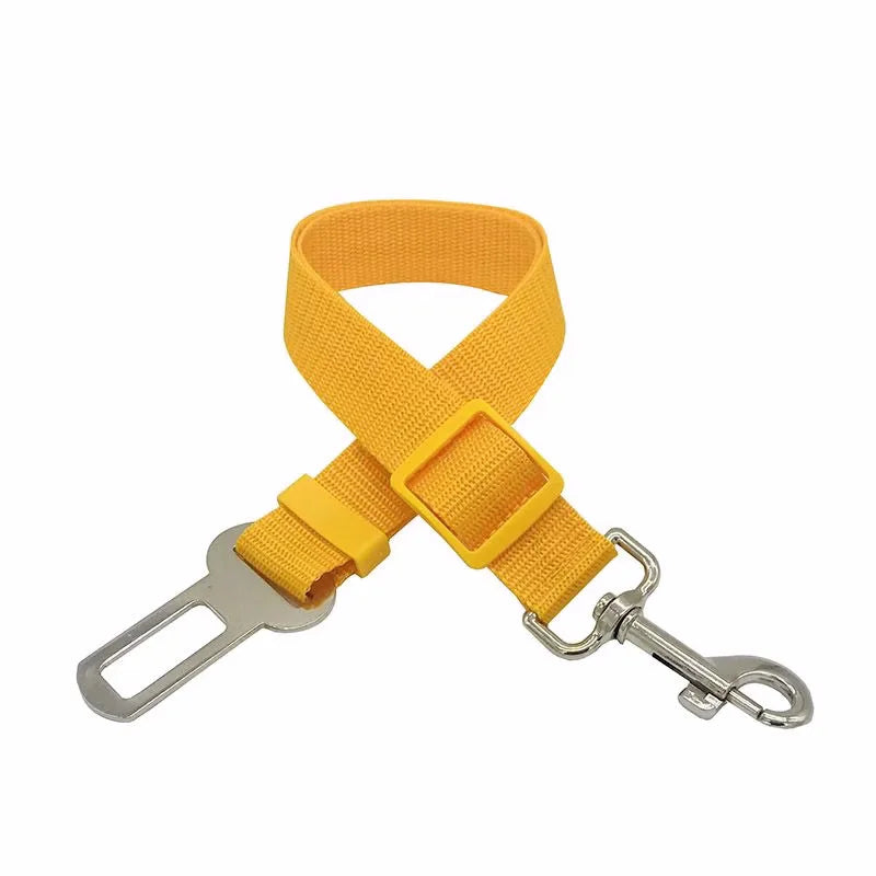 Harnais de sécurité pour chat et chien, laisse réglable, laisse de transport, clip de voyage, collier pour chiot, laisse pour animaux de compagnie, harnais pour chien