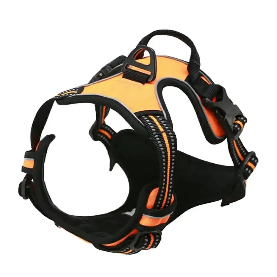 Colliers pour chiens, harnais, grands gilets, laisse, boutique d'animaux, tout pour chiens, accessoires en cuir pour chiots, ensemble moyen et petit