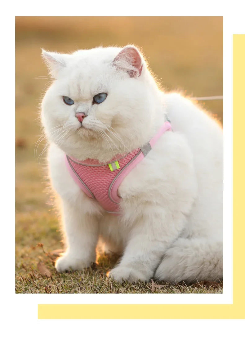 Accessoires pour chiens et chats, collier pour petits chiens, gilet de sécurité, corde de poitrine pour animaux de compagnie, couverture pour chiens, harnais respirant et réglable, fournitures, produits