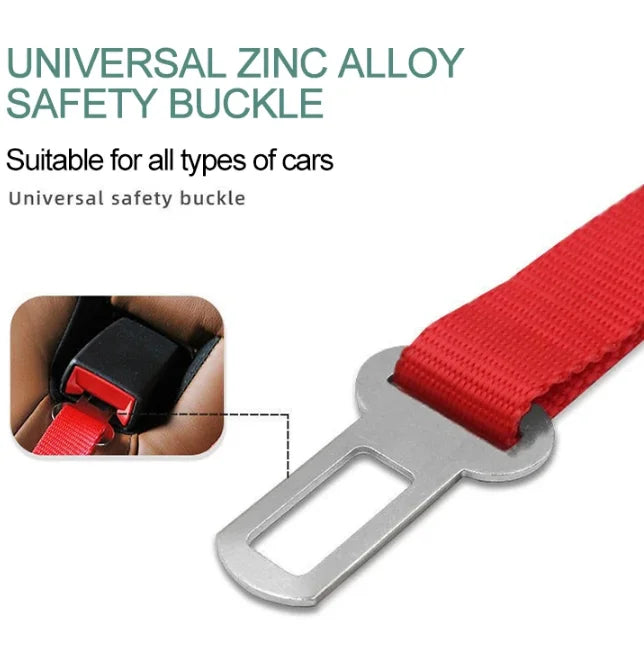 Harnais de sécurité pour chat et chien, laisse réglable, laisse de transport, clip de voyage, collier pour chiot, laisse pour animaux de compagnie, harnais pour chien