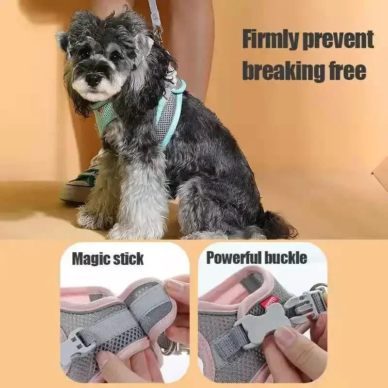 Accessoires pour chiens et chats, collier pour petits chiens, gilet de sécurité, corde de poitrine pour animaux de compagnie, couverture pour chiens, harnais respirant et réglable, fournitures, produits