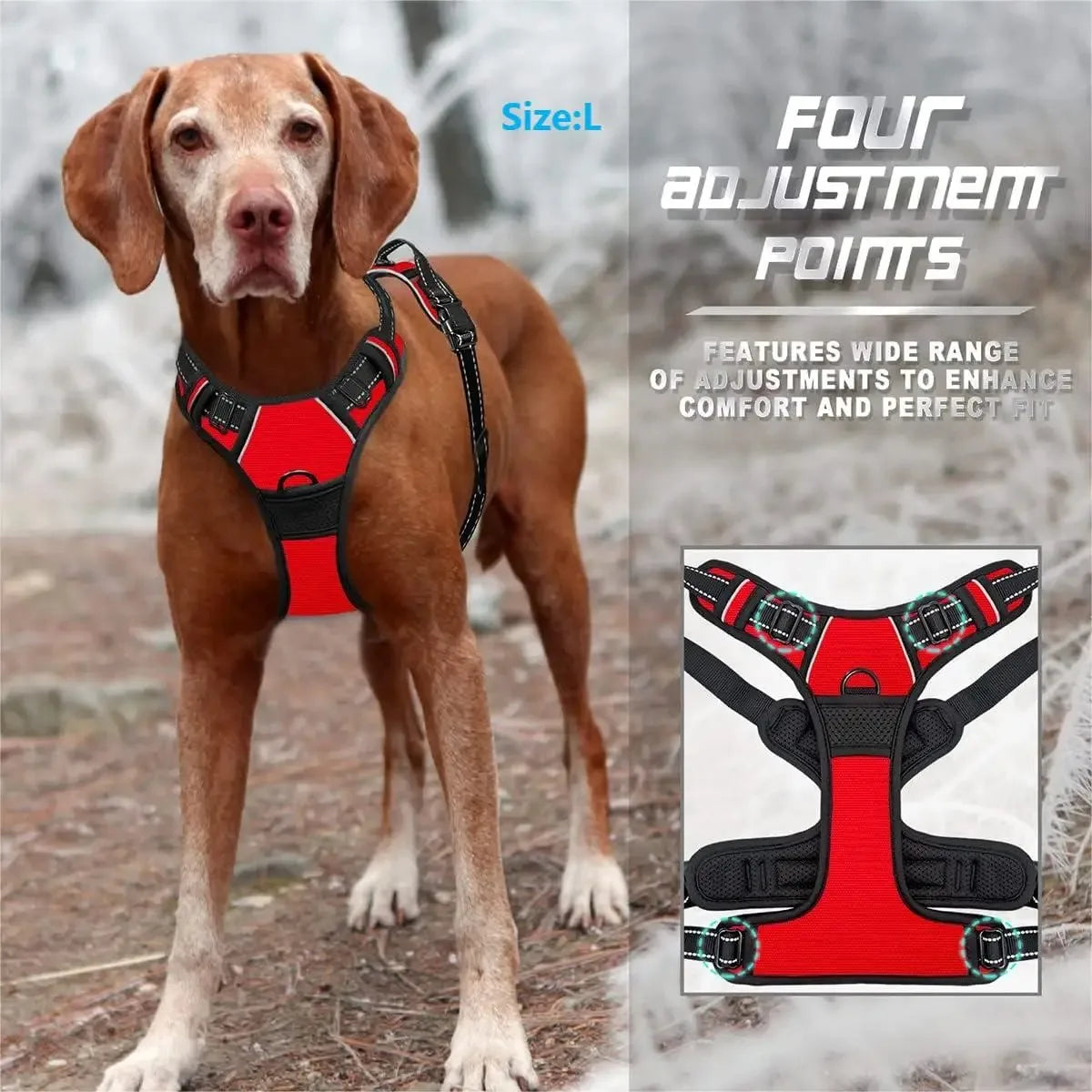 Colliers pour chiens, harnais, grands gilets, laisse, boutique d'animaux, tout pour chiens, accessoires en cuir pour chiots, ensemble moyen et petit