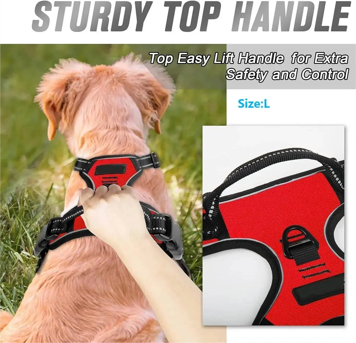 Colliers pour chiens, harnais, grands gilets, laisse, boutique d'animaux, tout pour chiens, accessoires en cuir pour chiots, ensemble moyen et petit