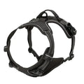 Colliers pour chiens, harnais, grands gilets, laisse, boutique d'animaux, tout pour chiens, accessoires en cuir pour chiots, ensemble moyen et petit